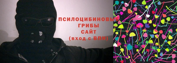 СК Верхний Тагил